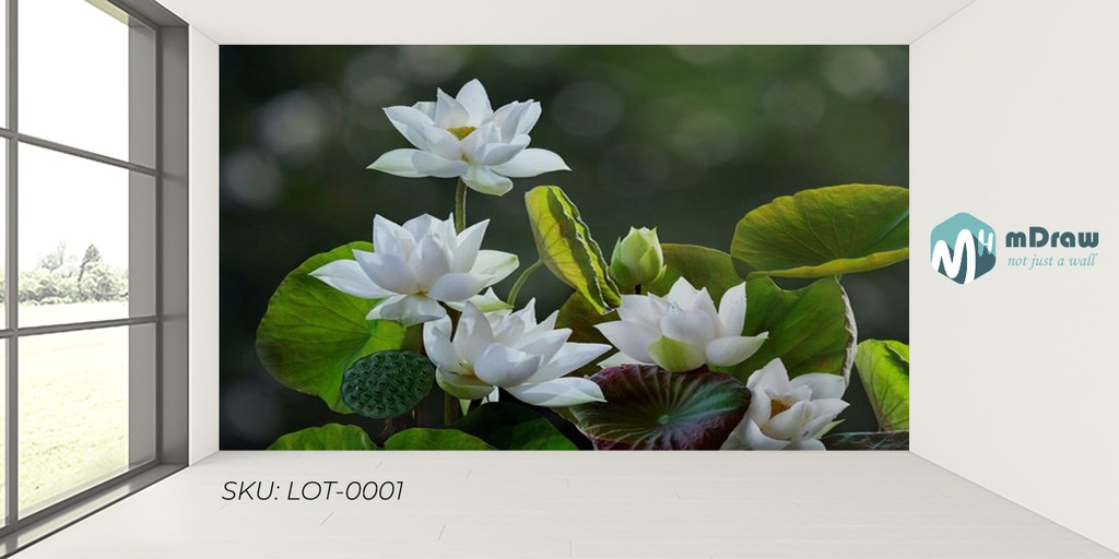 Lotus - LOT_0001