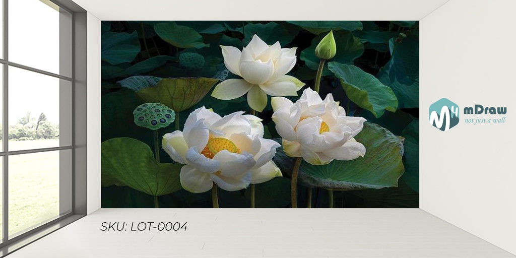 Lotus - LOT_0004