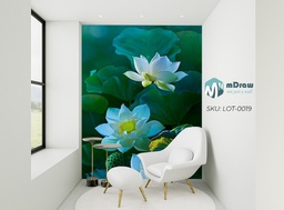 [LOT_0019] Lotus - LOT_0019